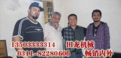 物料提升机链条